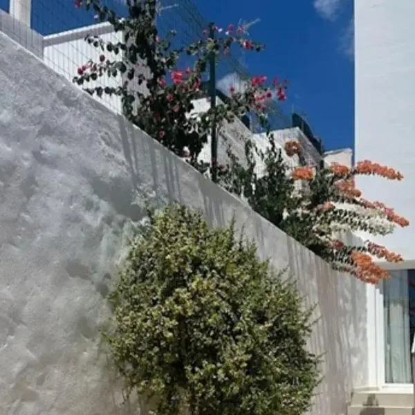 Waki Conscious - zdjęcie 3