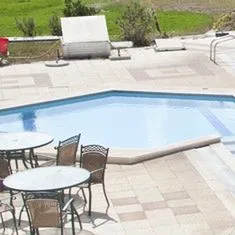 Olga's Paradise - zdjęcie 5