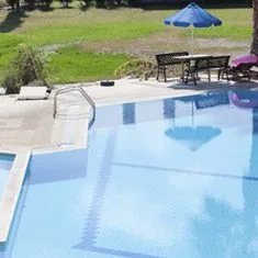 Olga's Paradise - zdjęcie 3