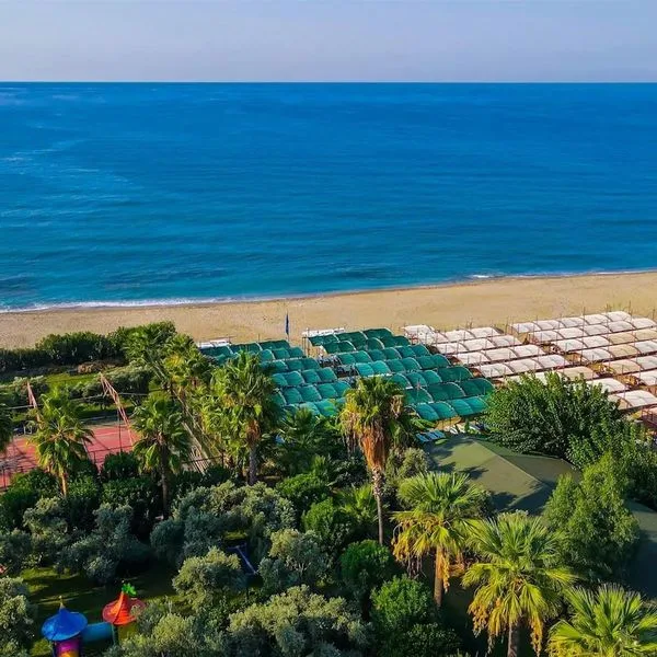 Kaia Coracesium - zdjęcie 4