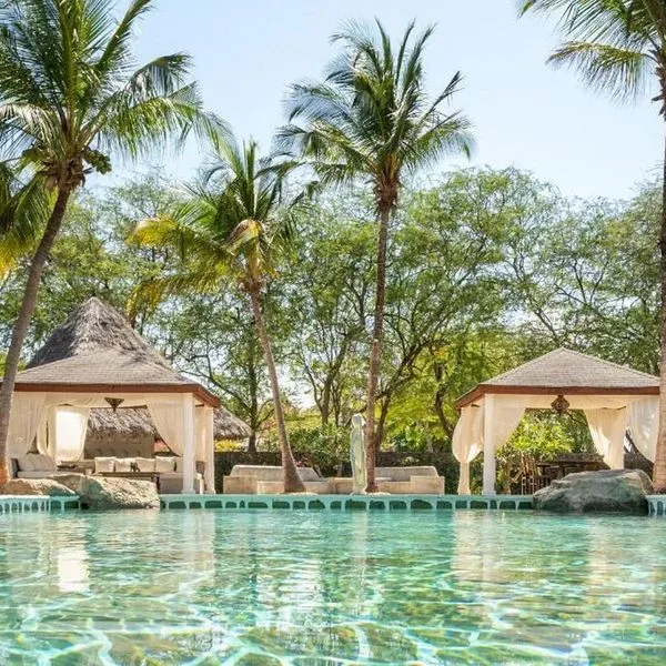 Lion In The Sun - zdjęcie 2