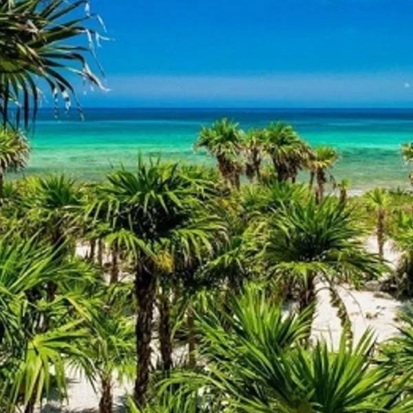 Valentin Imperial Riviera Maya - zdjęcie 5