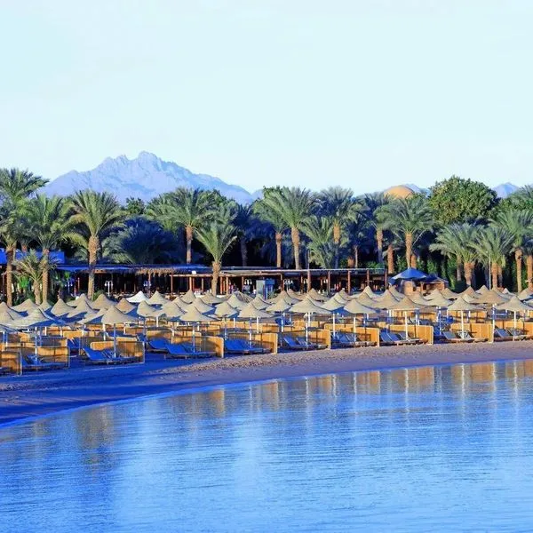 Jaz Royal Palmariva - zdjęcie 4