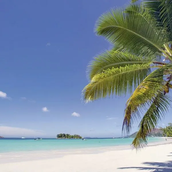 Paradise Sun - zdjęcie 5