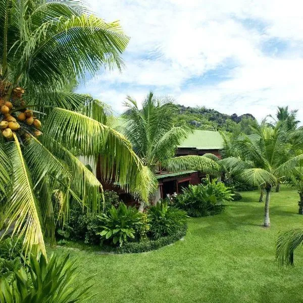 Paradise Sun - zdjęcie 4