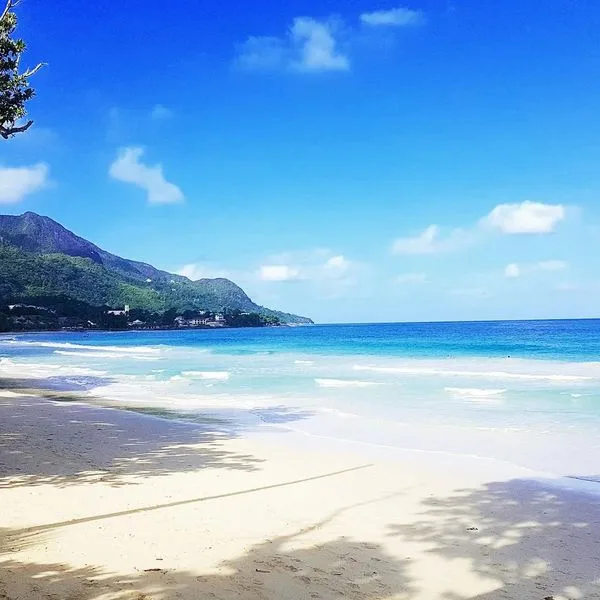 Coral Strand - zdjęcie 2