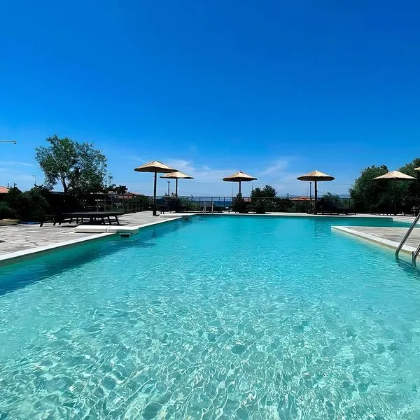 Rachoni Amazing - zdjęcie 2