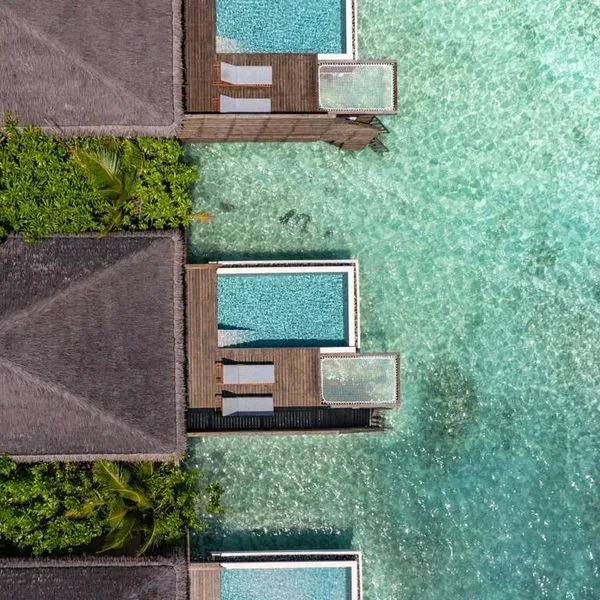 dusitD2 Feydhoo Maldives - zdjęcie 4