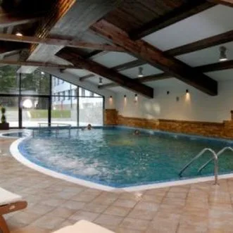 Lion (Borowiec) - zdjęcie 2