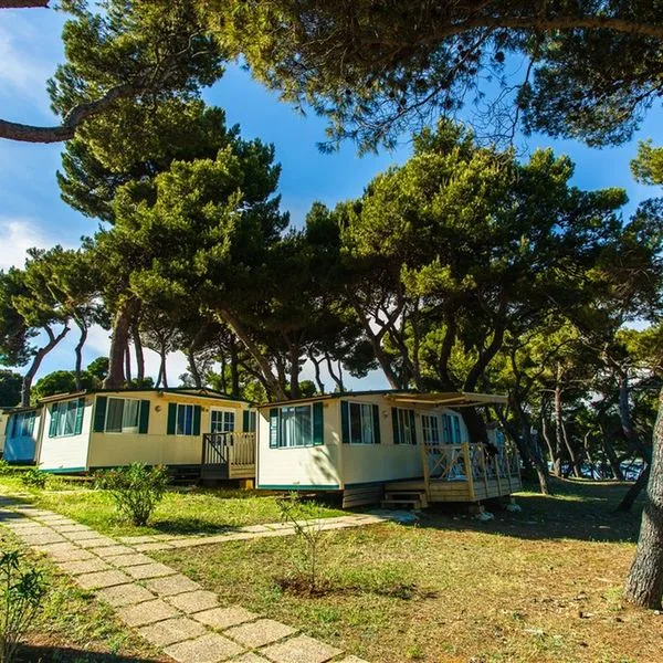 Arena Stoja - zdjęcie 3