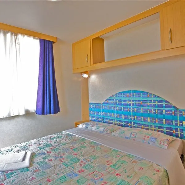 Arena Stoja - zdjęcie 4