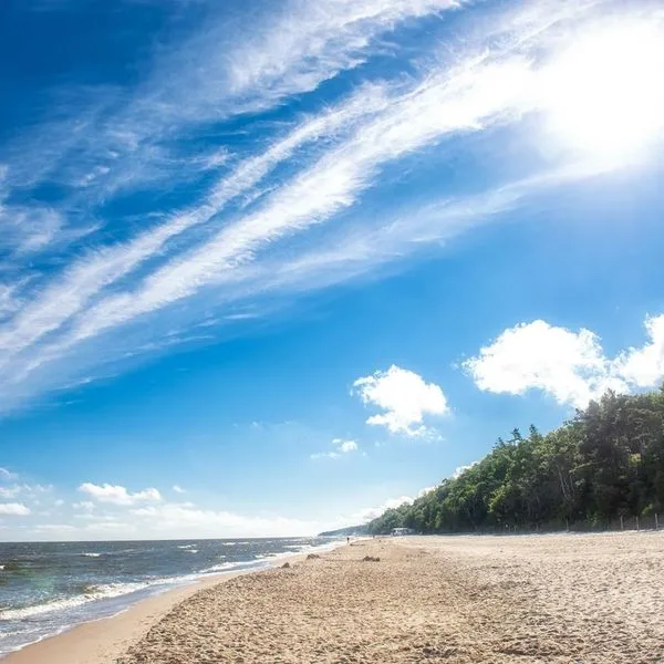 Grand Laola Spa - zdjęcie 5