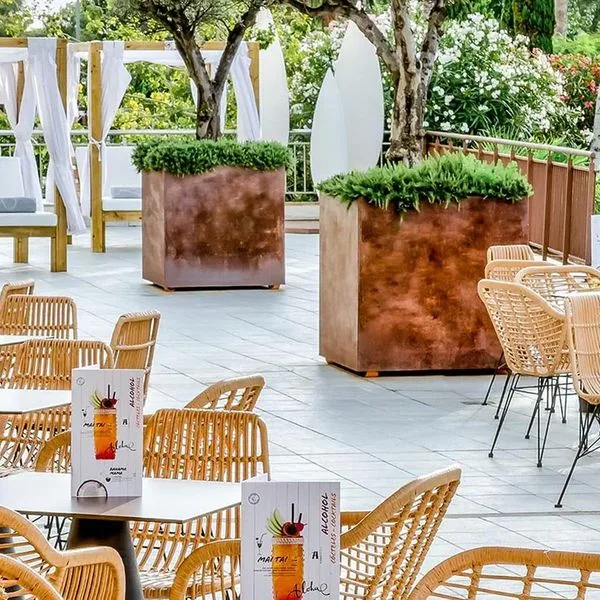 Alegria Caprici Verd - zdjęcie 4