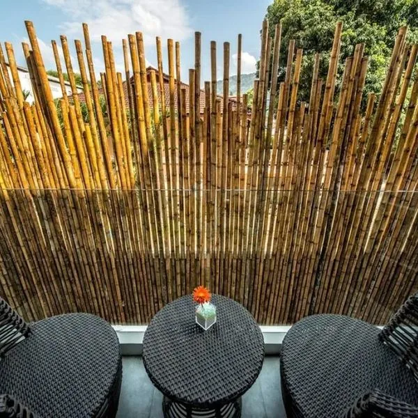 Clover Patong - zdjęcie 2