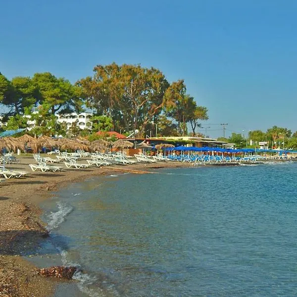 Palm Beach - zdjęcie 2