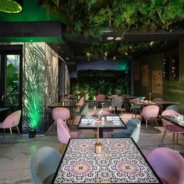 Caravita - zdjęcie 3