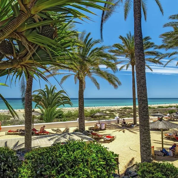 SBH Costa Calma Palace - zdjęcie 4