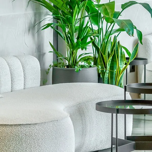 Bonita Luxury (Golem) - zdjęcie 4