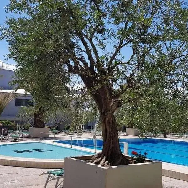 Cormoran - zdjęcie 2