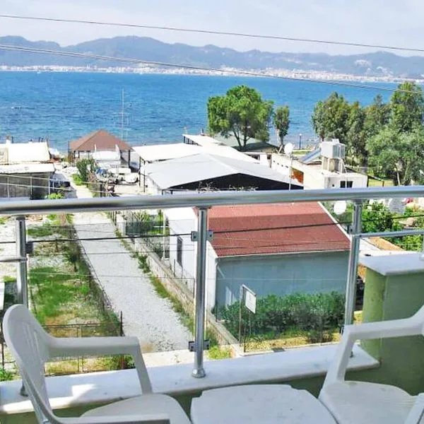 Anerissa - zdjęcie 2