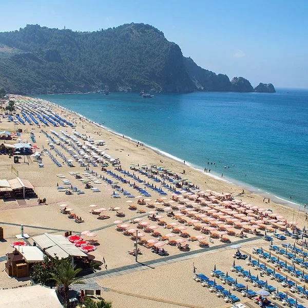 Alaiye Kleopatra - zdjęcie 2