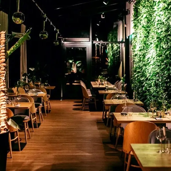 Pod Jedlami - zdjęcie 4