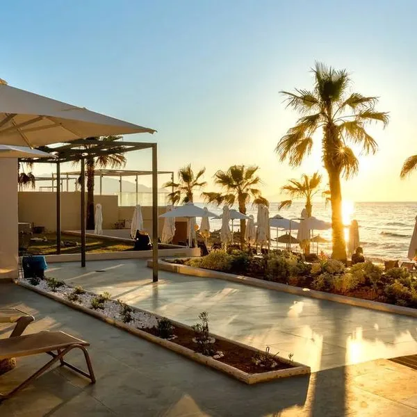 White Olive Elite Rethymno - zdjęcie 2