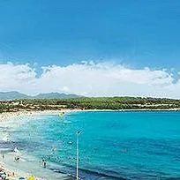 Protur Palmeras Playa - zdjęcie 4