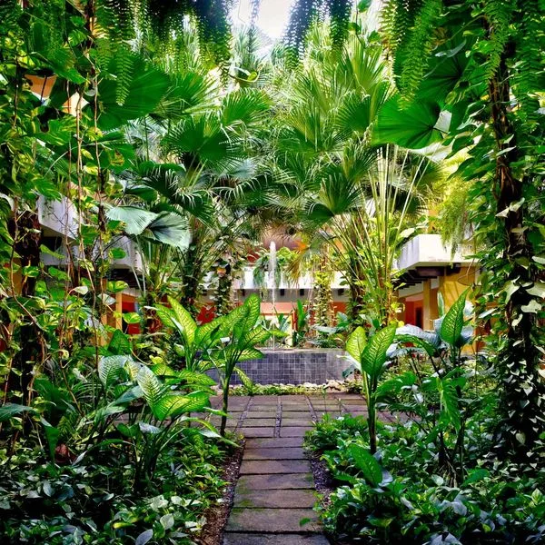 The Westin Reserva Conchal - zdjęcie 5