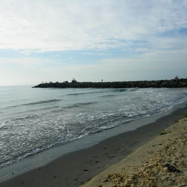 Bijou (Rawda) - zdjęcie 4