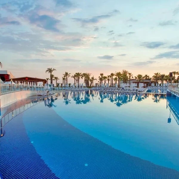 Sidera Kirman Premium - zdjęcie 3