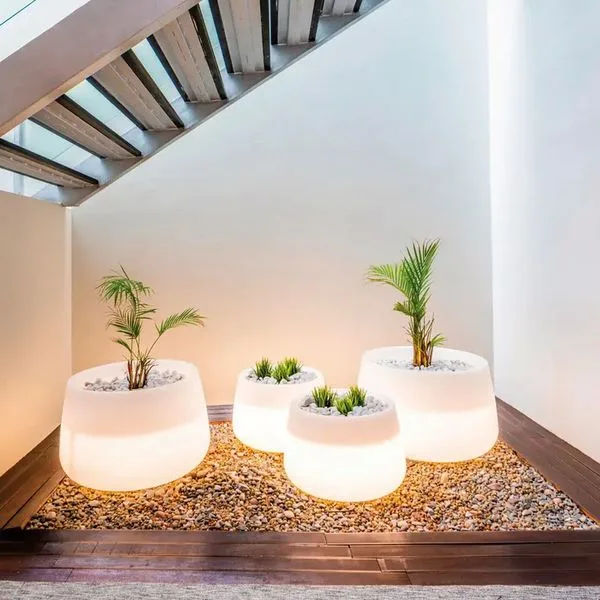 Czar Lisbon - zdjęcie 4