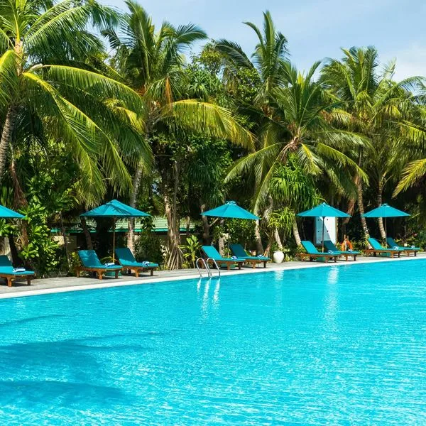 Canareef Resort - zdjęcie 2