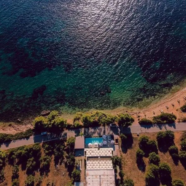 Casa Bloo - zdjęcie 4