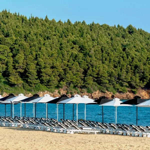 Avaton Luxury - zdjęcie 2