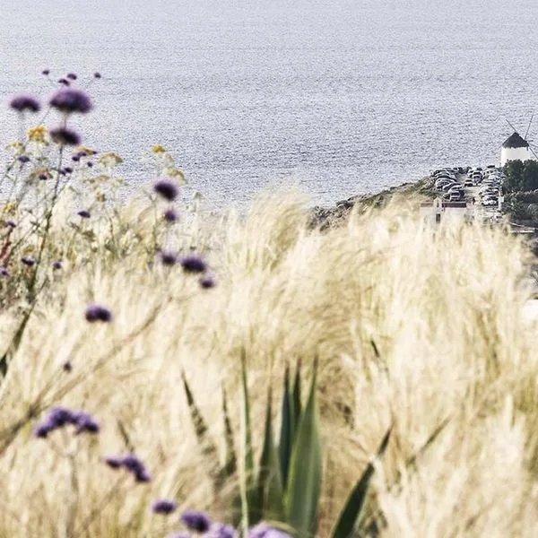 Myconian Kyma - zdjęcie 3