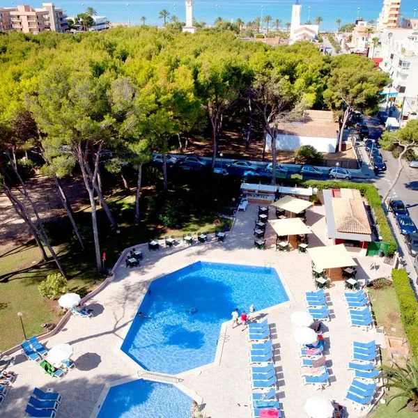 Pabisa Sofia - zdjęcie 2