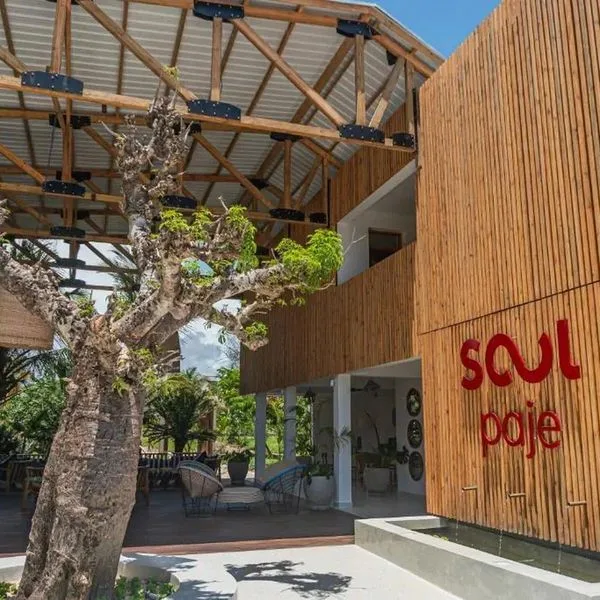 Soul Paje - zdjęcie 2