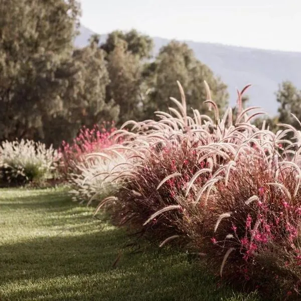 Armacera Resort - zdjęcie 2