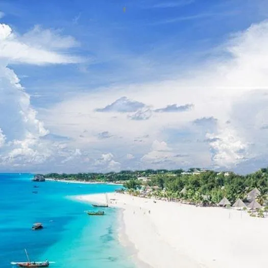 Gold Zanzibar - zdjęcie 2