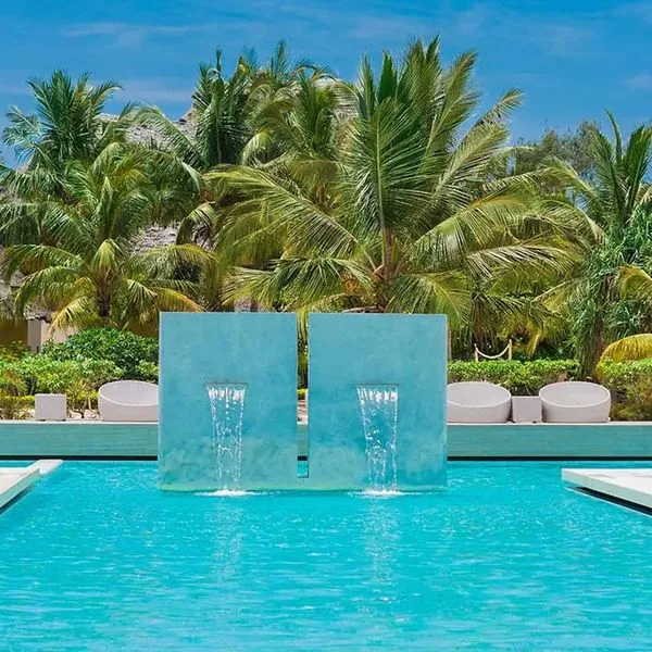 Gold Zanzibar - zdjęcie 5