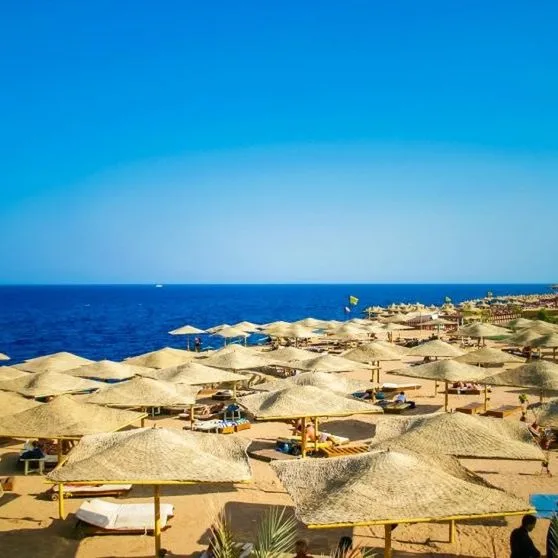 Falcon Hills - zdjęcie 5