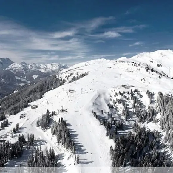 Brindlinger Gasthof - zdjęcie 2
