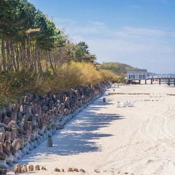 Albatros - zdjęcie 2