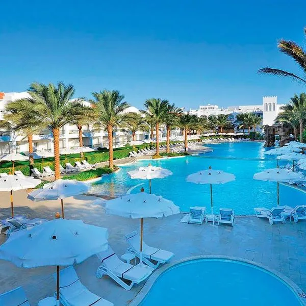 Baron Palms - zdjęcie 3