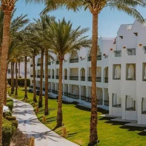 Baron Palms - zdjęcie 2