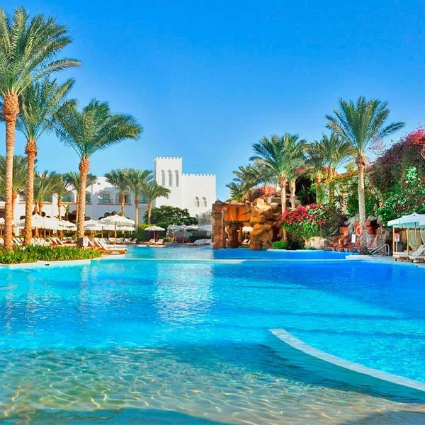 Baron Palms - zdjęcie 4