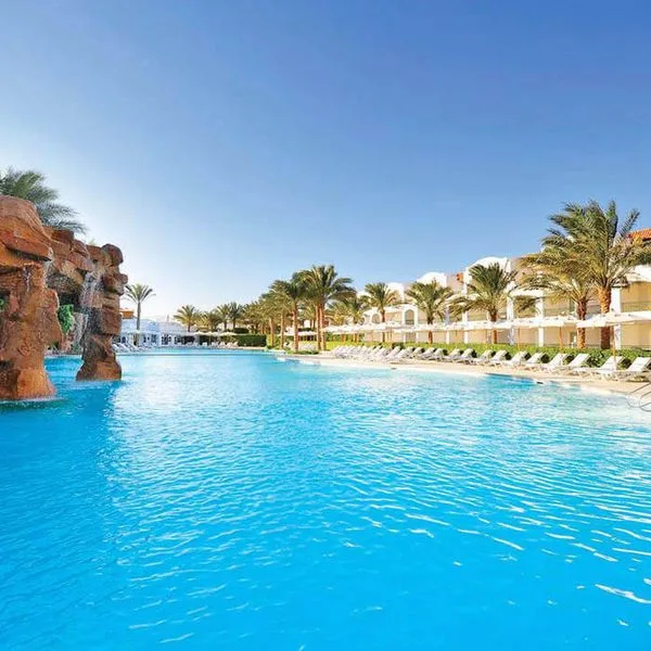 Baron Palms - zdjęcie 5