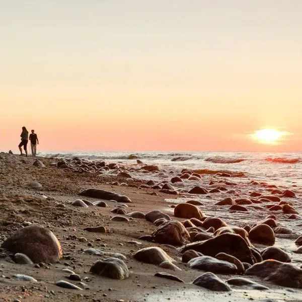 Diuna (Jastrzębia Góra) - zdjęcie 4