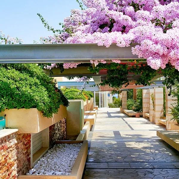 Minoa Palace Resort - zdjęcie 2